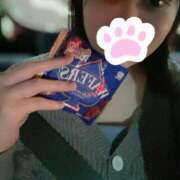 ヒメ日記 2025/04/12 06:33 投稿 おと もみもみワンダーランド