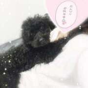 佐々木まお ありがとう♡ 変態素人嬢ダダモーレ