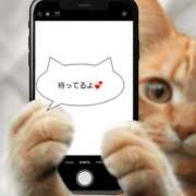 ヒメ日記 2026/02/01 23:10 投稿 あやか パンドラ(上野)