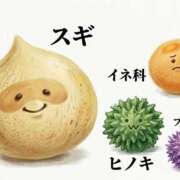 ヒメ日記 2026/03/14 11:14 投稿 あやか パンドラ(上野)