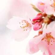 ヒメ日記 2026/03/22 21:11 投稿 あやか パンドラ(上野)