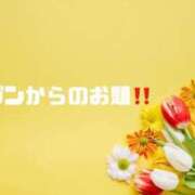 ヒメ日記 2024/03/25 09:31 投稿 あい 英乃國屋