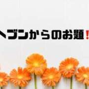 ヒメ日記 2024/05/04 10:29 投稿 あい 英乃國屋