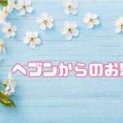 ヒメ日記 2024/05/13 09:51 投稿 あい 英乃國屋