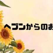 ヒメ日記 2024/08/24 09:15 投稿 あい 英乃國屋