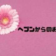 ヒメ日記 2024/09/15 09:54 投稿 あい 英乃國屋