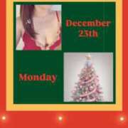 ヒメ日記 2024/12/23 06:50 投稿 あい 英乃國屋