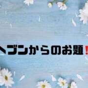 ヒメ日記 2025/05/29 09:15 投稿 あい 英乃國屋