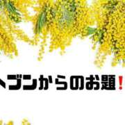 ヒメ日記 2025/06/27 09:54 投稿 あい 英乃國屋