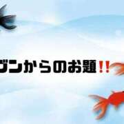 ヒメ日記 2025/08/11 09:13 投稿 あい 英乃國屋