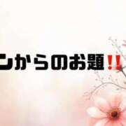 ヒメ日記 2026/09/23 09:31 投稿 あい 英乃國屋