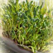 ヒメ日記 2025/02/27 12:33 投稿 しぐれ 熟女家 豊中蛍池店