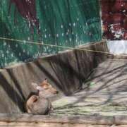 ヒメ日記 2025/04/05 12:19 投稿 しぐれ 熟女家 豊中蛍池店