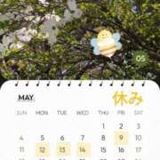 ヒメ日記 2025/05/06 11:44 投稿 しぐれ 熟女家 豊中蛍池店