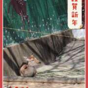 ヒメ日記 2026/01/01 00:15 投稿 しぐれ 熟女家 豊中蛍池店