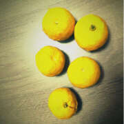 ヒメ日記 2025/03/01 21:44 投稿 けいこ 即アポ奥さん ～津・松阪店～