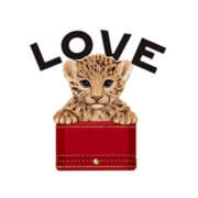 ヒメ日記 2026/01/04 20:13 投稿 けいこ 即アポ奥さん ～津・松阪店～