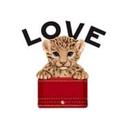 ヒメ日記 2026/02/23 20:55 投稿 けいこ 即アポ奥さん ～津・松阪店～