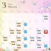 【武藤　なぎさ】 🦋【予定】3月の出勤について 梅田ムチSpa女学院