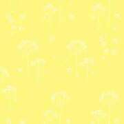 ヒメ日記 2026/02/19 10:22 投稿 みより 梅田アバンチュール