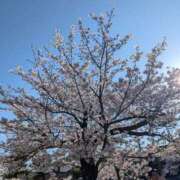 ヒメ日記 2026/04/07 14:57 投稿 米倉ももこ キュア＆マジック
