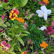 ヒメ日記 2026/05/28 14:58 投稿 米倉ももこ キュア＆マジック