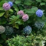 ヒメ日記 2026/07/22 12:33 投稿 米倉ももこ キュア＆マジック