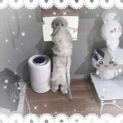 ヒメ日記 2025/06/17 21:06 投稿 しずく 川崎ソープ　クリスタル京都南町