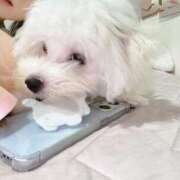 ヒメ日記 2025/12/22 16:17 投稿 しずく 川崎ソープ　クリスタル京都南町