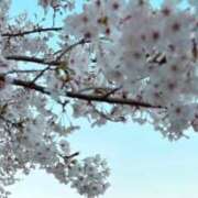 ヒメ日記 2025/04/07 21:13 投稿 まな 成田人妻花壇