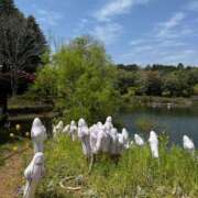 ヒメ日記 2025/05/06 13:06 投稿 さらさ ニュー不夜城