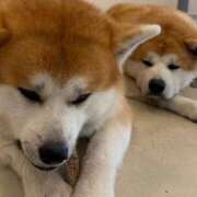 ヒメ日記 2025/10/21 13:56 投稿 さらさ ニュー不夜城