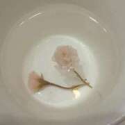 ヒメ日記 2026/02/28 01:16 投稿 さらさ ニュー不夜城