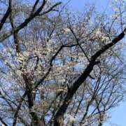 ヒメ日記 2026/03/25 13:26 投稿 さらさ ニュー不夜城