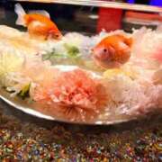 ヒメ日記 2026/04/04 01:26 投稿 さらさ ニュー不夜城