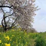 ヒメ日記 2026/04/15 00:36 投稿 さらさ ニュー不夜城