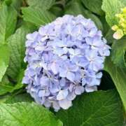 ヒメ日記 2026/06/08 20:26 投稿 さらさ ニュー不夜城