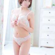 さらさ thankyou ニュー不夜城