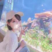 ヒメ日記 2025/06/25 17:58 投稿 さら 最高としか言えない! ウエスト・コム