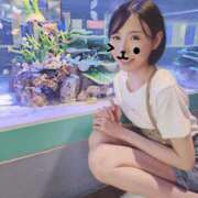 ヒメ日記 2025/07/24 22:13 投稿 さら 最高としか言えない! ウエスト・コム