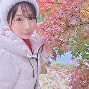 ヒメ日記 2025/11/28 09:25 投稿 さら 最高としか言えない! ウエスト・コム