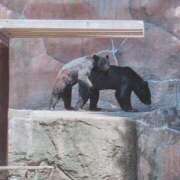 さら 最高としか言えない! うまいました ウエスト・コム