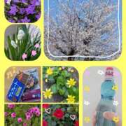 ヒメ日記 2025/05/19 22:42 投稿 内藤 モアグループ所沢人妻城