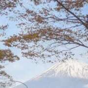 ヒメ日記 2025/11/13 13:48 投稿 内藤 モアグループ所沢人妻城