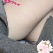 ヒメ日記 2026/04/01 19:18 投稿 内藤 モアグループ所沢人妻城