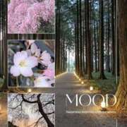 ヒメ日記 2026/04/20 19:51 投稿 内藤 モアグループ所沢人妻城