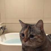 ヒメ日記 2025/01/03 03:16 投稿 マフユ ラブコレクション