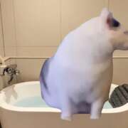 ヒメ日記 2025/01/18 00:01 投稿 マフユ ラブコレクション