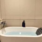 ヒメ日記 2025/01/22 01:16 投稿 マフユ ラブコレクション