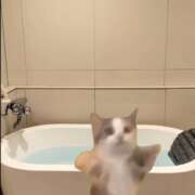 ヒメ日記 2025/03/03 01:16 投稿 マフユ ラブコレクション